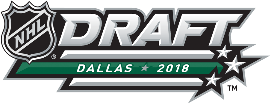 NHL Draft 2018 Alternate Logo iron on transfers for T-shirts